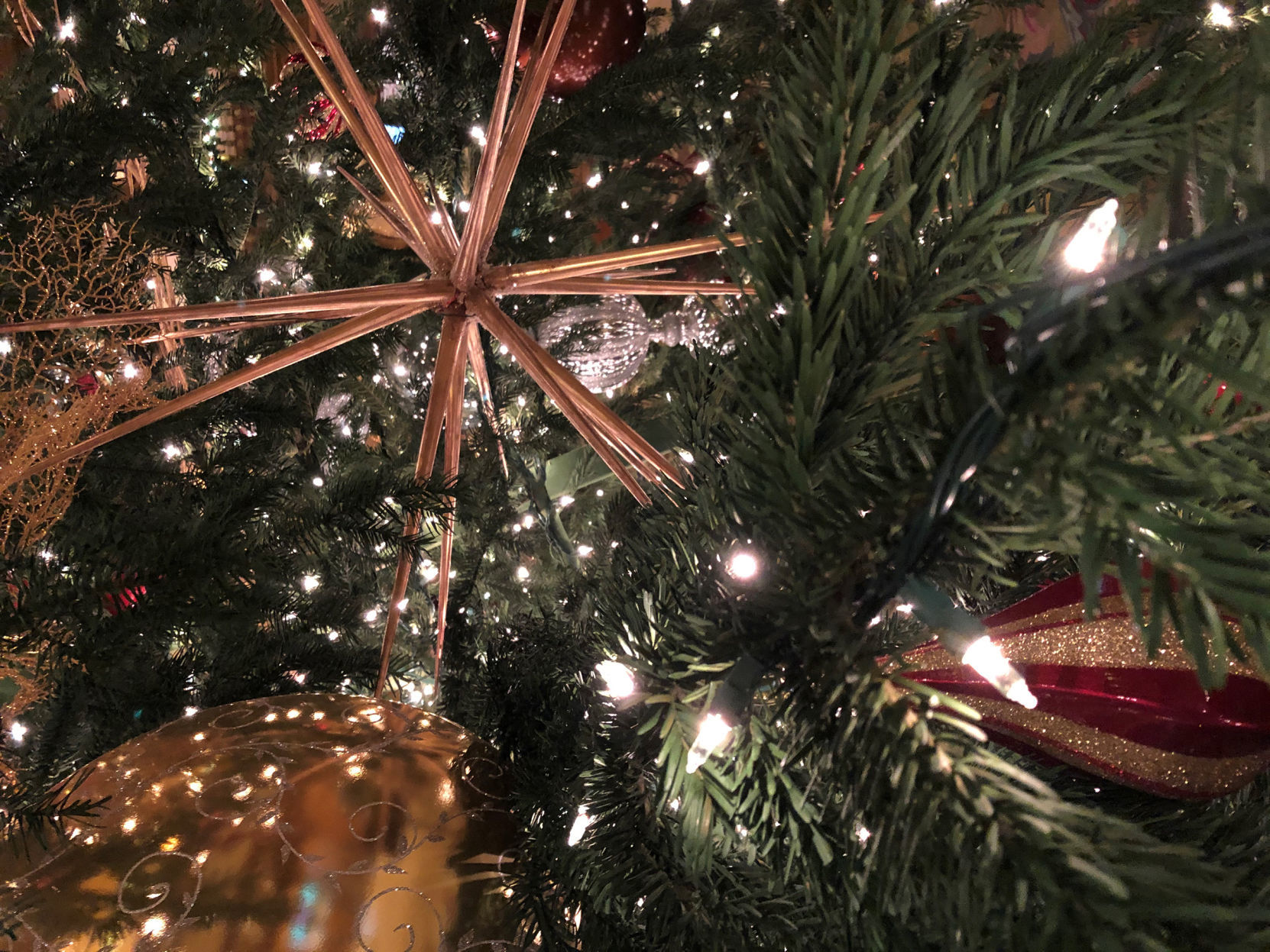 Christmas traditions from the Unleashed staff